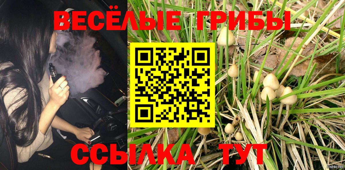 Галлюциногенные грибы Psilocybine cubensis  Псилоцибиновые грибы MAGIC MUSHROOMS  Вход с VPN  Будённовск 